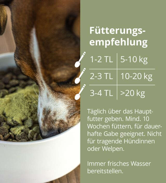 Höveler DOG DARM PLUS